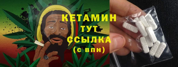трава Гусиноозёрск