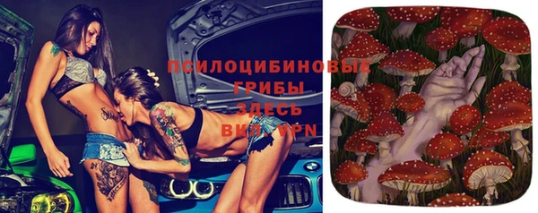 ECSTASY Горнозаводск