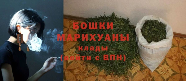 амф Горняк