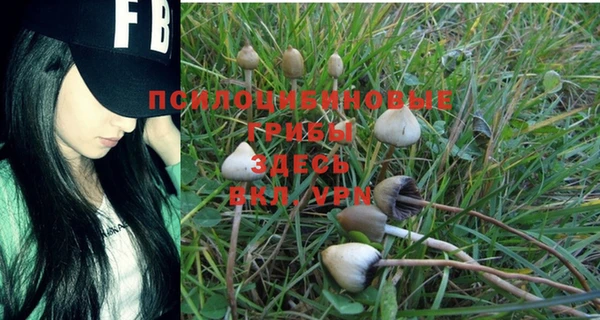ECSTASY Горнозаводск