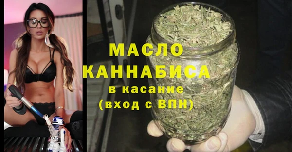 амф Горняк