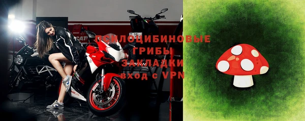 амф Горняк