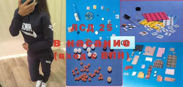 амф Горняк